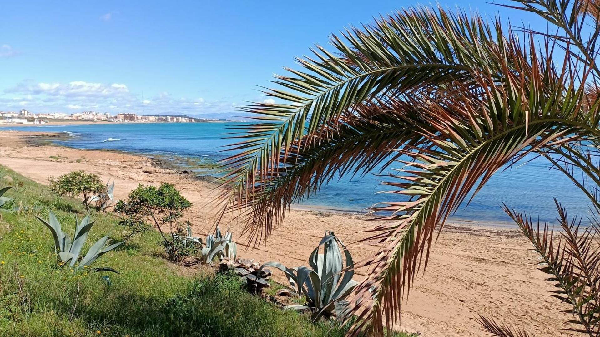 Apartment Blanco - Vina Mar III La Mata  Εξωτερικό φωτογραφία